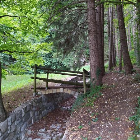 Arche Verzegnis - Unita Abitativa Ammobiliata Ad Uso Turistico Chiaicis Kültér fotó