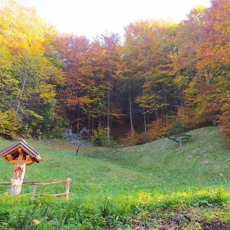 Arche Verzegnis - Unita Abitativa Ammobiliata Ad Uso Turistico Chiaicis Kültér fotó